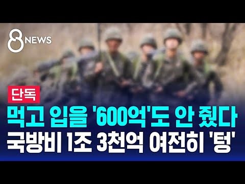 [단독] 장병들 먹고 입는 비용 600억도 안 줬다 / SBS 8뉴스