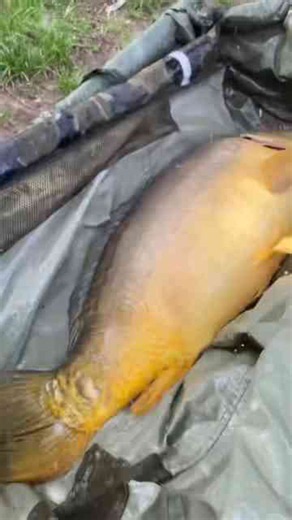 The fishing trends making the sport more popular