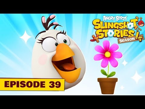 Angry Birds Slingshot Stories S4 | Flower Tower Ep. 39
