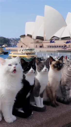 Sydney Opera House: Australia’s Iconic Architectural Masterpiece! 🇦🇺 Did you know the Sydney Opera House is one of the most recognizable buildings in the world? 🤯 Located on Sydney Harbour in Australia, this breathtaking landmark is famous for its sail-shaped roof structures that seem to rise above the sparkling blue water. 🌊 Designed by Danish architect Jørn Utzon, it officially opened in 1973 after 14 years of construction! ✨ Its unique design was inspired by natural forms, and its roof is