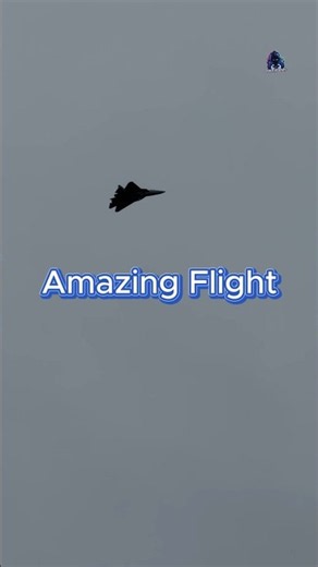Do you know how to fly your rc jet plane like this? #rc #rcplane #rcpilot #rcjet