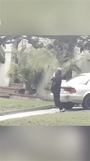 A heroic Los Angeles police dog took down a crazed gunman on his own front porch after he wildly fired at a police helicopter, ending an almost four-hour standoff with cops. | New York Post