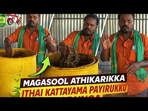 மகசூல் அதிகரிக்க இதை கட்டாயம் பயிருக்கு கொடுங்க/Magasool adhikarikka kandayam payirukku kudunga