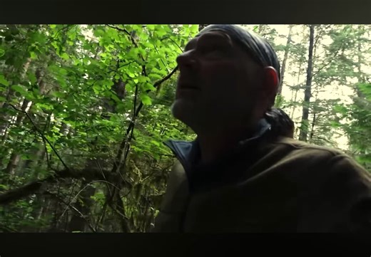 “What did we see? I haven’t got a freaking clue — but I saw it.” — Les Stroud’s Close-Range Orb Encounter in Survivorman Bigfoot Episode 10Les Stroud (aka Survivorman) drops one of the most compelling “high strangeness” moments in his entire Bigfoot series — and it’s in the controversial Episode 10: Portland Oregon.I remember noticing a clear shift in tone with this episode. It surprised me when it moved into the question of orbs and how they might relate to Bigfoot encounters.A noticeable porti