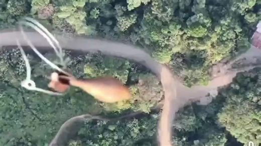 Colombia’s Cocaine Smugglers Employ a Deadly New Weapon—Drones