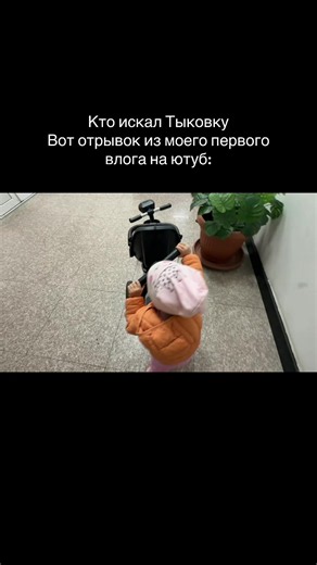 Кто искал Тыковку? Отрывок из первого влога на YouTube (zhuzland)