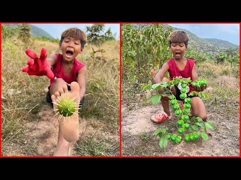 Survival Skills: SMART idea and USEFUL in forest with Two Brother #bushcraft #camping #outdoors