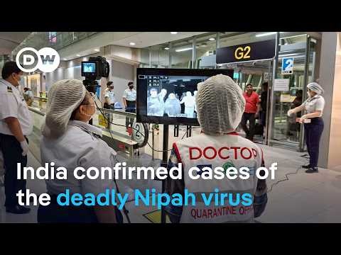 How deadly is the Nipah virus compared to the Coronavirus? | DW News