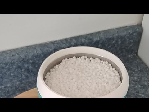 Sabudana Khichdi Recipe Live | Non Sticky Vrat Special Khichdi 😋