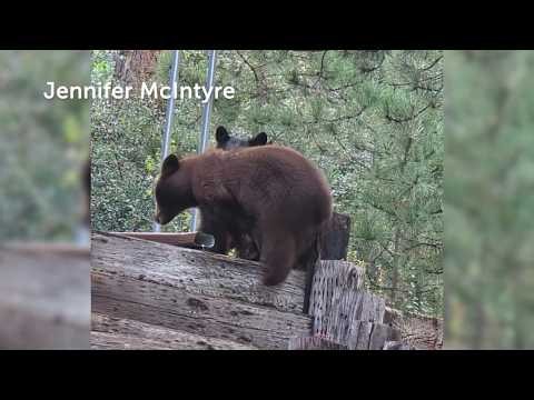 Colorado’s warm October weather could change wildlife behavior