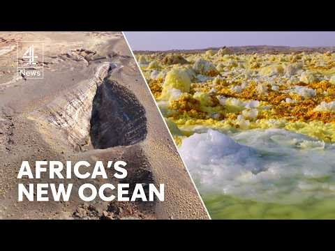 Tectonic forces in Ethiopia are carving a new ocean across the continent