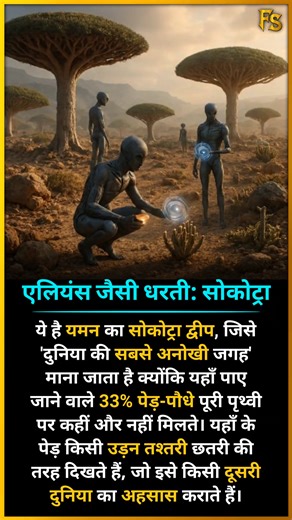 Fact Samrat on Instagram: "Alien Earth: Socotra Island (Yemen) This is Socotra Island in Yemen, considered one of the "most unique places in the world" because 33% of the plants found here are found nowhere else on Earth. #socotra #island #aliens #earth Fact Samrat"