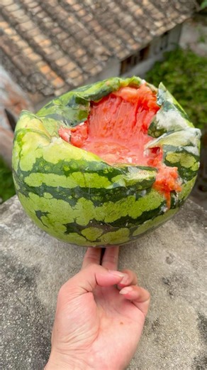 🍉💥🔥Will a watermelon explode if it rolls off a tall building?#shorts