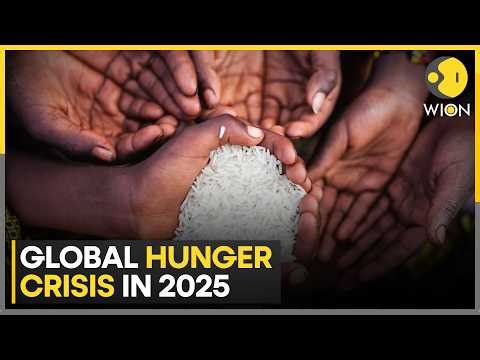 Report: 39 MN+ People Faces Emergency Levels of Food Insecurity | WION