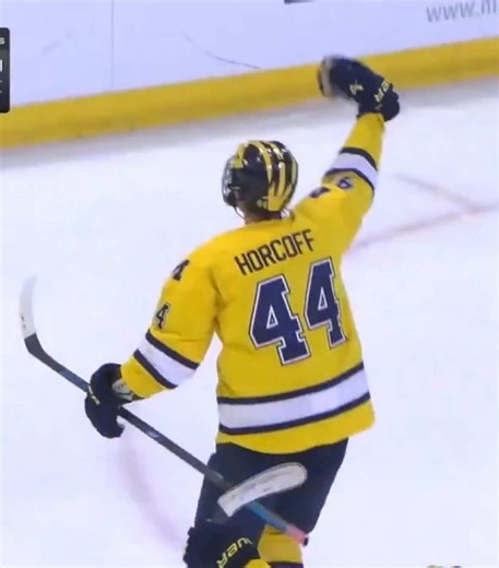 WHAT JUST HAPPENED 😱🚨‼️ @Michigan Hockey scores the game winner with 0.1 seconds left! #hockey #college #collegehockey #lightthelamppodcast #lightthelamppod