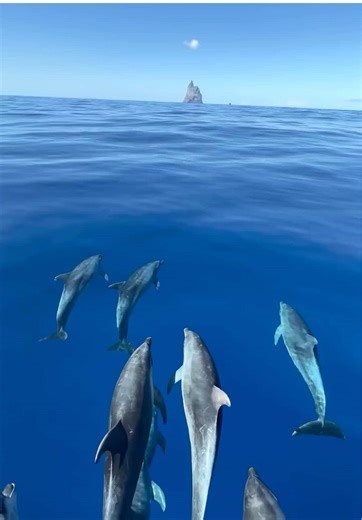 Top 5 Aussie Moments: Exploring Lord Howe Island