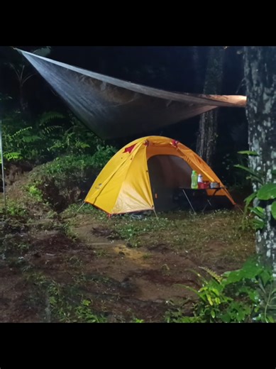 camping in heavy rain in outdoor wild 🌩️🌧️⛈️ #RainCamping #campinggear #CampingLife #outdoorlife #raincamping