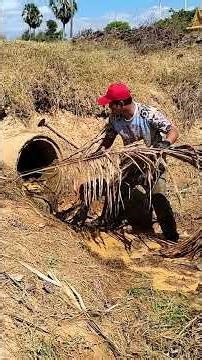 The Straw Kept Coming and Coming Out of This Ditch Pipe — Nonstop