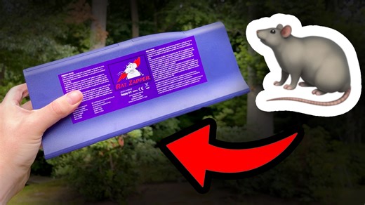 Watch Does This Rat & Mouse Zapper Really Work? My 2 Year Review on Amazon Live