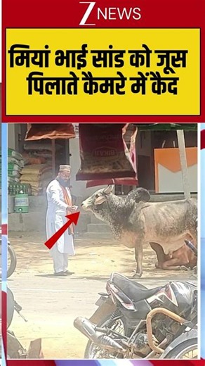 Viral Shorts: मियां भाई सांड को जूस पिलाते कैमरे में कैद #shortvideo #trendingshorts #breakingnews