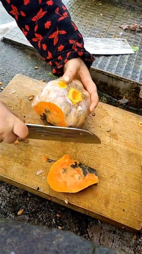 Seasoned Foodies Unite: Annual Culinary Quests