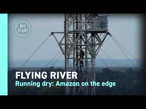 Flying River | Running dry: Amazon on the edge