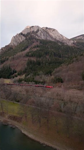 #080 Daily Dose of 🚧 #Train 🛤️ #Railway 🚂 #LevelCrossings 🚦 #High-speed .mp4