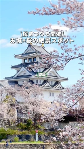 【岐阜】お城×桜🌸 絶景のコラボレーションが楽しめるスポット