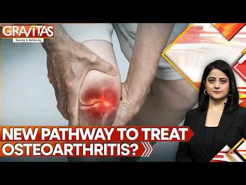 Menstrual Blood Breakthrough? New Hope for Osteoarthritis Treatment, Study Finds | GRAVITAS