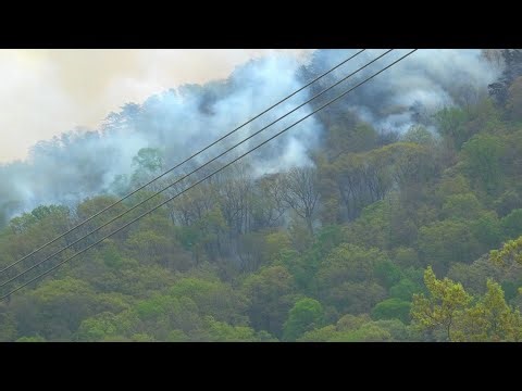 40-acre House Mountain fire is 60% contained
