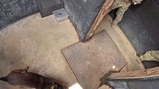 Shoot house with Dogface soldiers and military working dogs