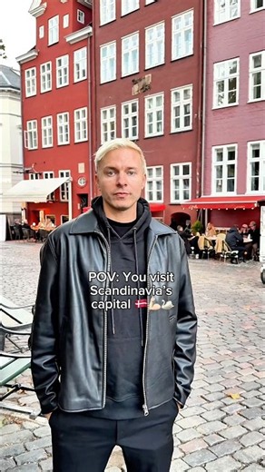 POV: Scandinavia’s Capital 🇩🇰🦢💪🏻 #copenhagen #denmark #sweden #danish #swedish #fyp #viral
