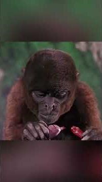 Trapped on Mars: The Mystery of the Strange Creature 👽🚀😳