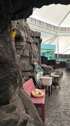 Meet the Albino Burmese Python | Incredible Snake Experience in Thailand