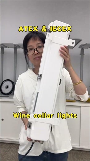 Explosion proof pendant light – For Paint Spray Booths #hazardouslighting#atexlights#IECEX