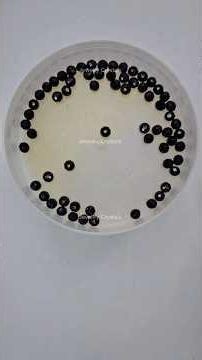 . Bracelet Making @Jewelry.Crystals ##bracelet #bracelets #jewelry ##jewellery #craft #shorts