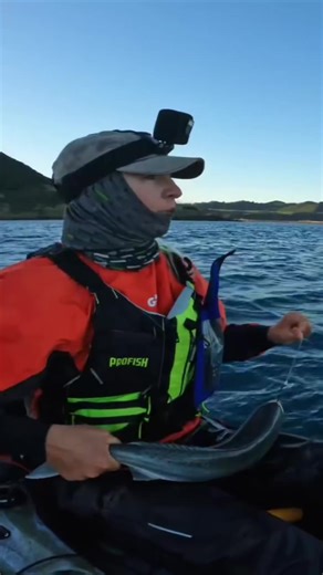 GIANT Fish EXPLODES on Live Bait… Wait for the Redemption You won’t believe how this turns around—watch till the end! #FishingLife #BigCatch #LiveBait #FishingAdventure #AnglerLife