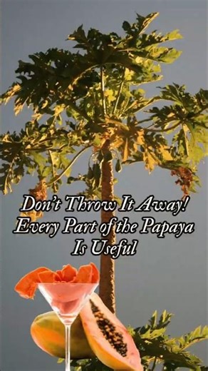 “Hidden Benefits of Papaya” || Papaya Benefits You Should Know