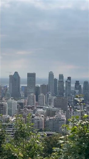Montreal's most famous viewpoint just surprised me #cityviews #shorts