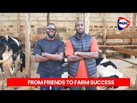 How This Nalumunye Dairy Farm Makes Millions from Milk 🐄 | Hoof & Horn Farm Solutions
