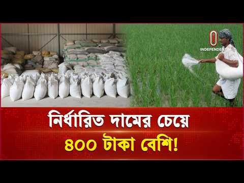 গাইবান্ধায় সার সংকটে দিশেহারা কৃষক | Gaibandha Fartilizer Crisis | Independent TV