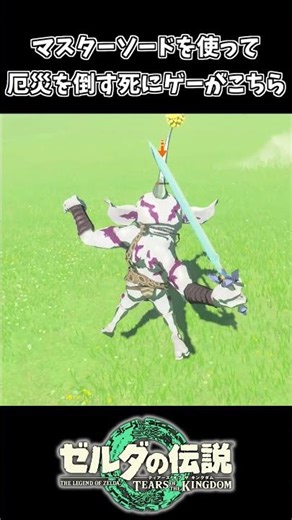 マスターソードを使って厄災リンクを倒す死にゲーｗｗ【ゼルダの伝説 ティアーズ オブ ザ キングダム】
