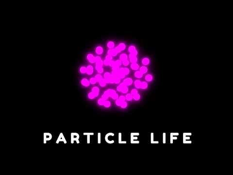The Most Beautiful Particle Simulation