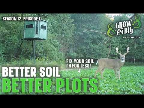 How to Use Lime to Grow Better Food Plots and Save Money