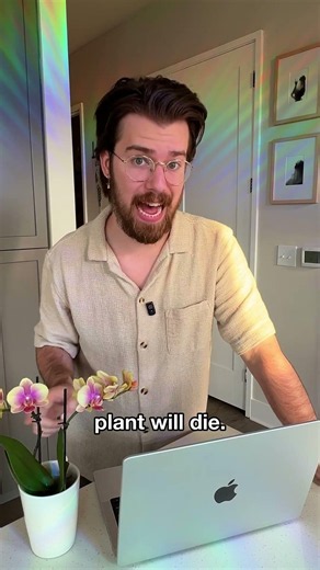 Watering with SODA for 30 days...