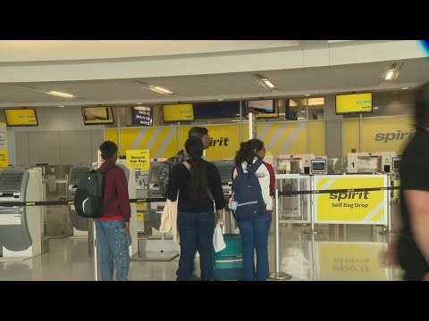Spirit Airlines shuts down: DFW Airport flyers show up to see empty lines, no check-in