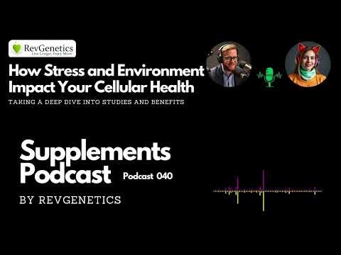 Exploring How Social Stress Ages Cells: P53 and Senescence Connection 040