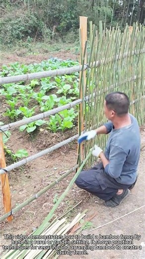 Bamboo Fence Build 🌿 Easy Steps