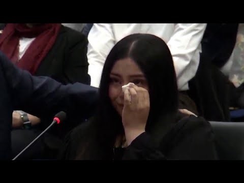 New evidence revealed in Border Patrol shooting of Chicago woman