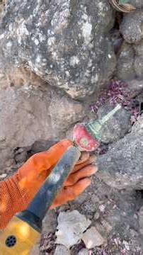metal detecting a hidden treasure in yellow stone #archaeology #treasuresearch #gold #metaldetecting